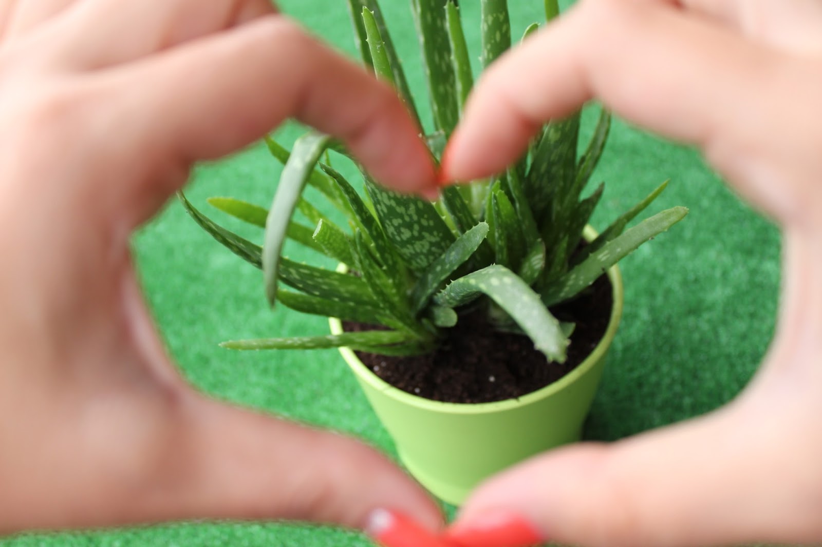 naissance aloe vera The Mini Post-Birth Soothing Spray – Luna Daily main image 0