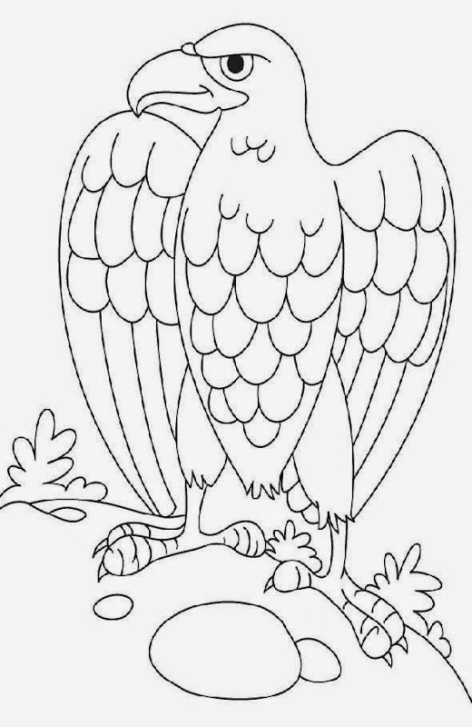 baby eagle coloring pages - photo #5