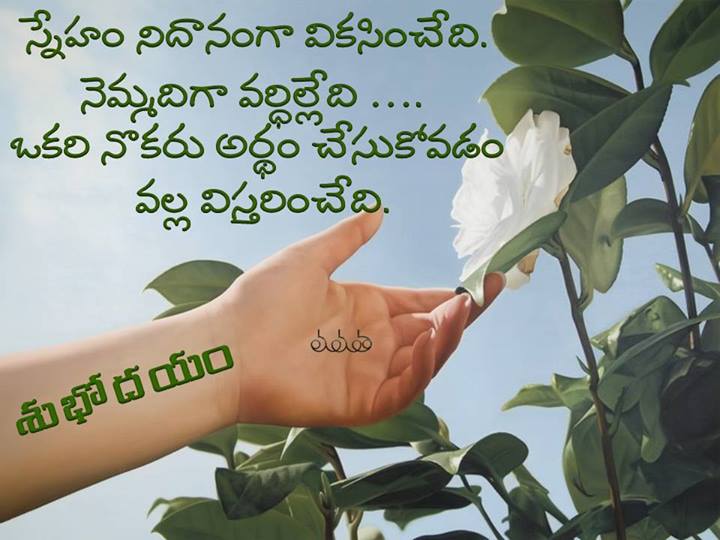 good morning images in telugu