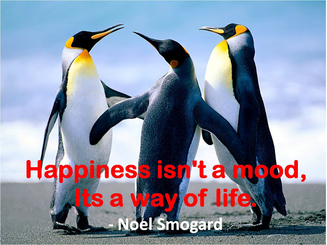 Глупый пингвин прячет тело жирное в утёсах. Пингвин жирное в утесах. Стих жирный пингвин робко прячет. Глупый пингвин робко прячет тело жирное в утесах. Глупый пингвин.