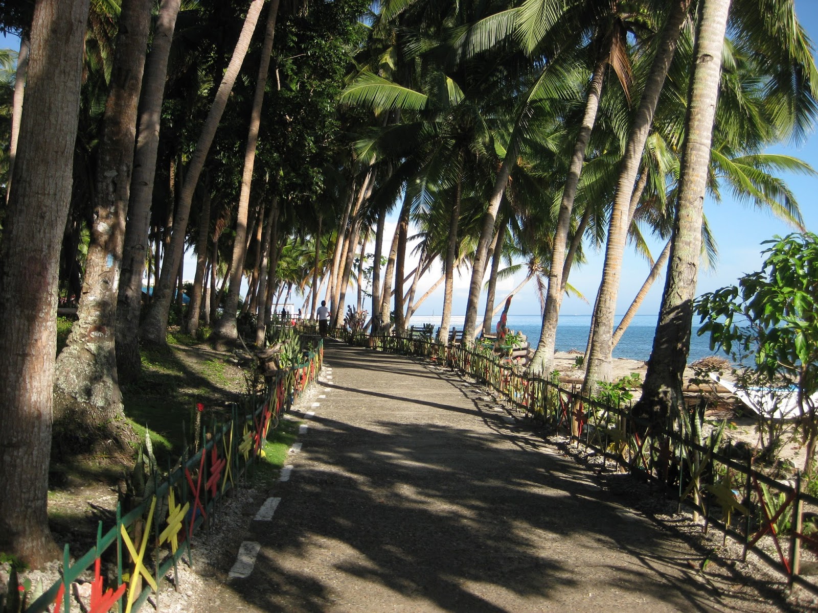 BEACHFRONT PROPERTY PHILIPPINES 2013
