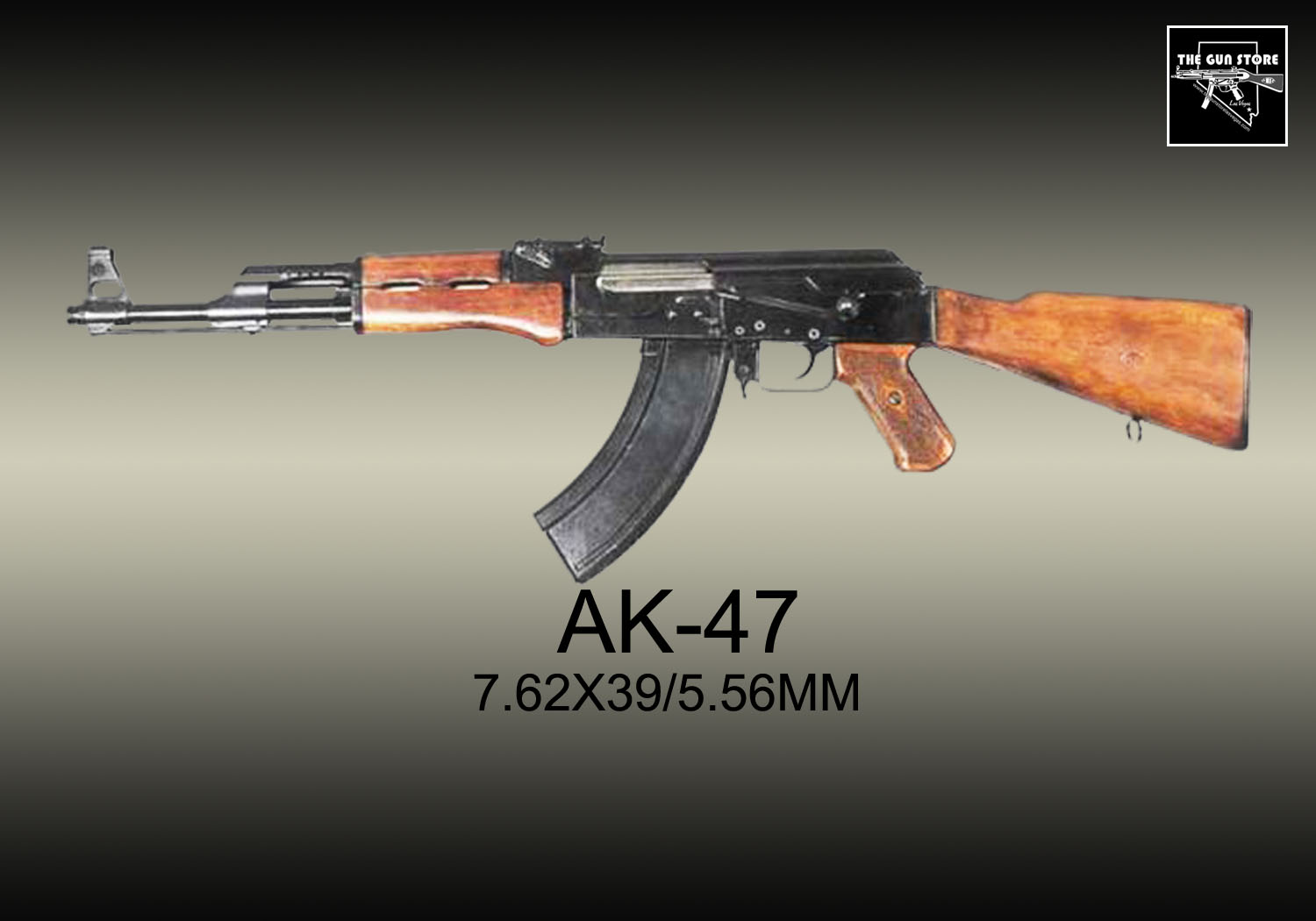 GENERAL GUN (Para uma sociedade mais segura)