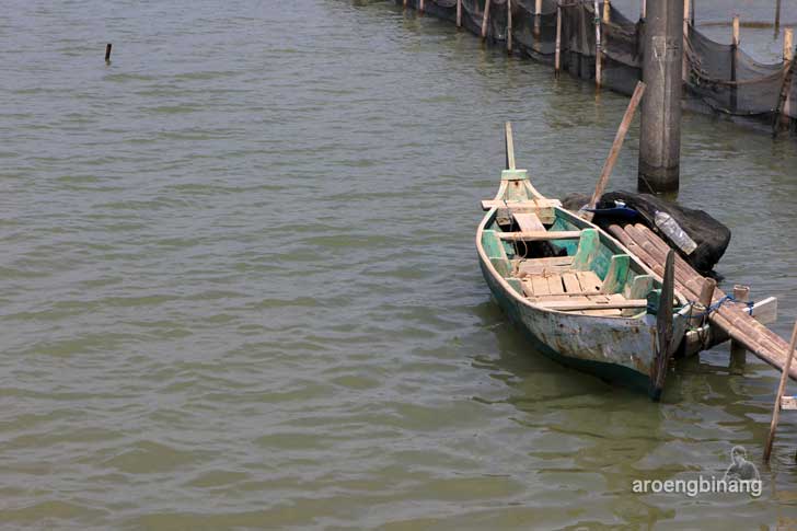 taman mangrove morosari demak
