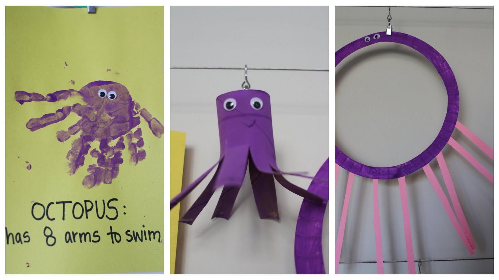 Candra Georgi O Is Octopus candra-georgi-o-is-octopus