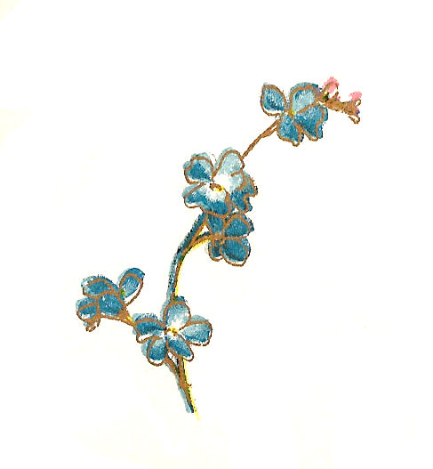 free clip art forget me not flowers - photo #29