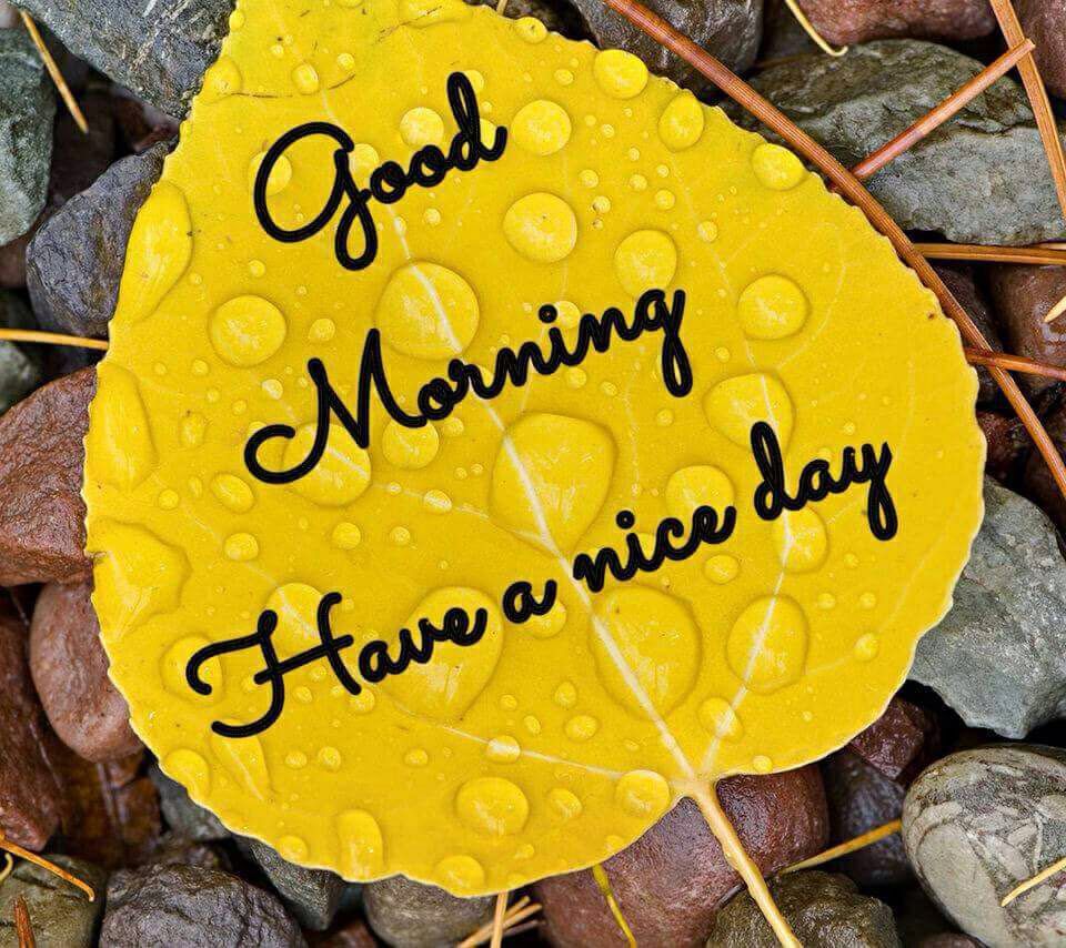 good morning images in telugu