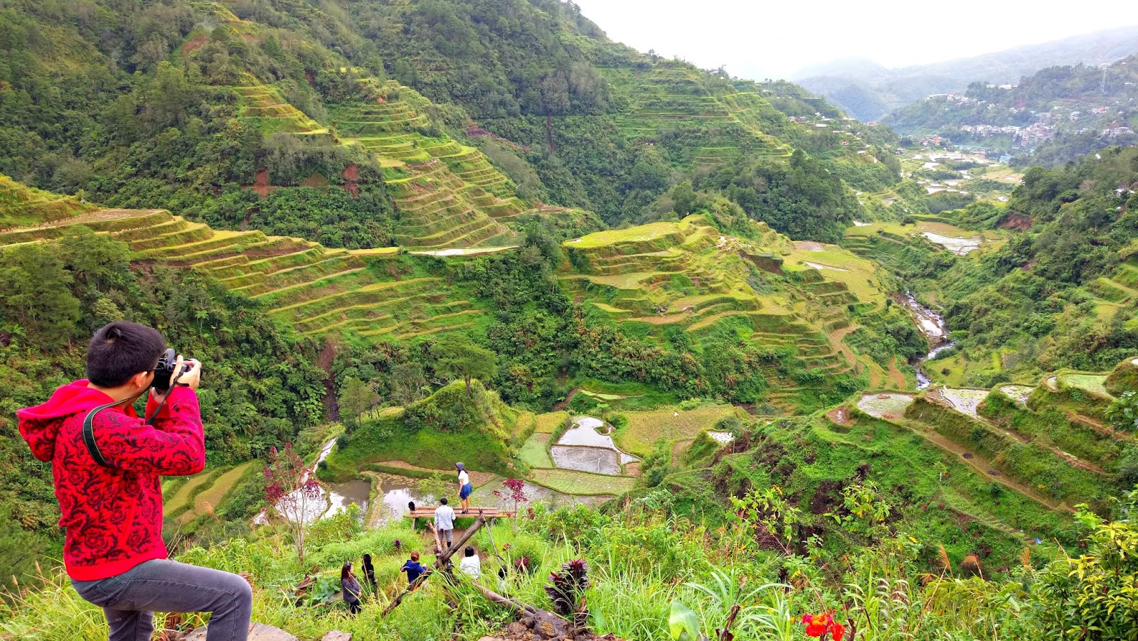 Ifugao: Banaue Rice Terraces
