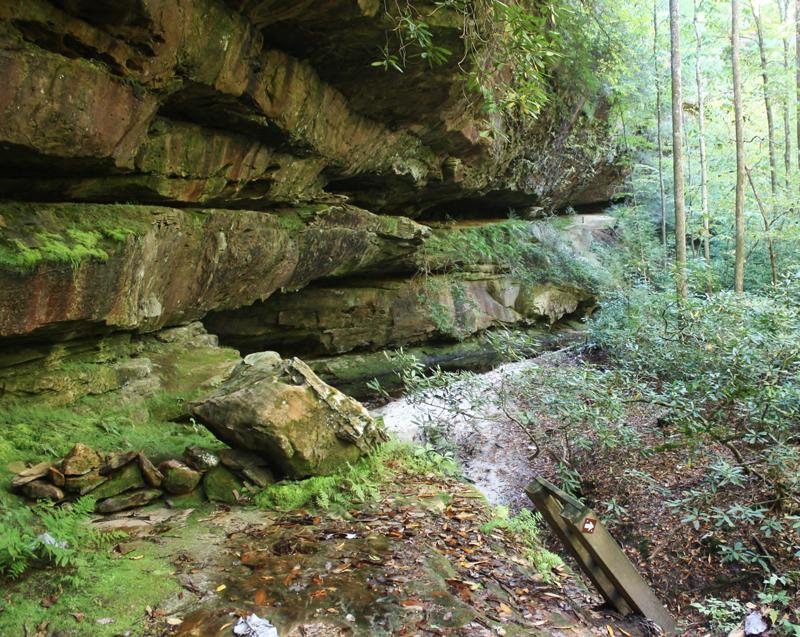 Tennessee Trails Murfreesboro 20th Annual Great Pumpkin Festival at