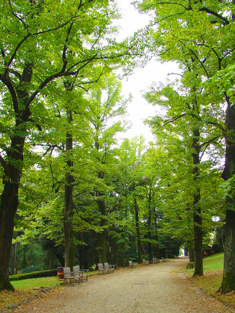 Idyllic view of the park behind the museum. Hard to believe the Florence city centre is a short distance away.