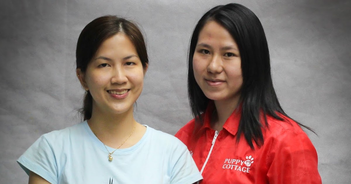 groomers-connection-academy-certificate-in-pet-grooming-course