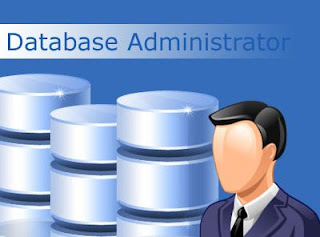 Database Administrator
