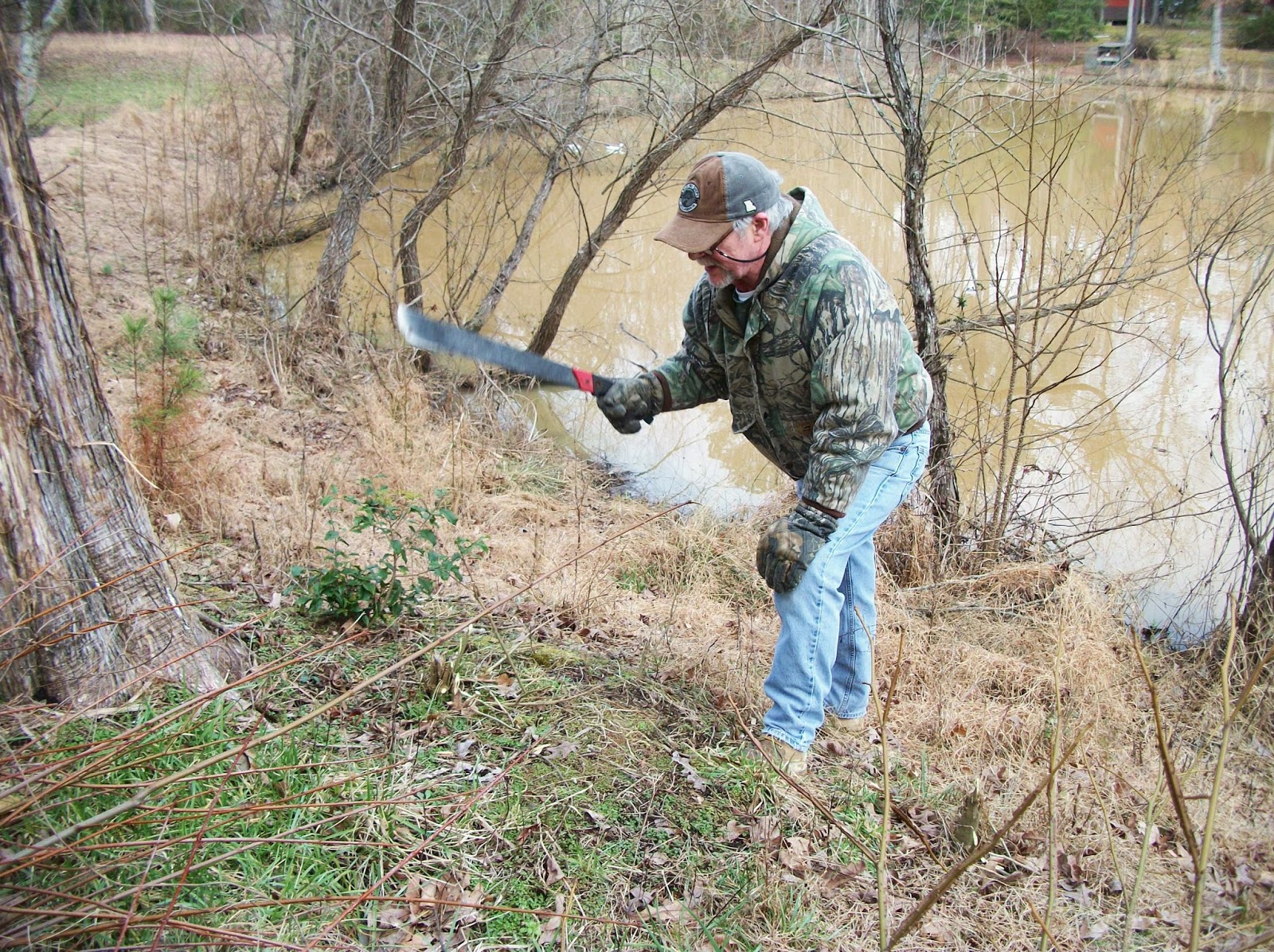 Henny Penny Lane Clearing around the pond