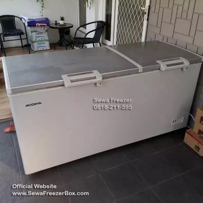 sewa freezer daging 600 liter Jember