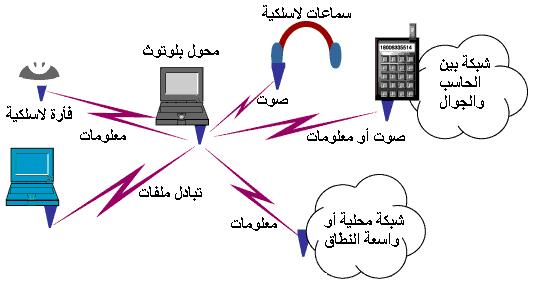 حول تصميم الشبكات والبرامج المختلفة