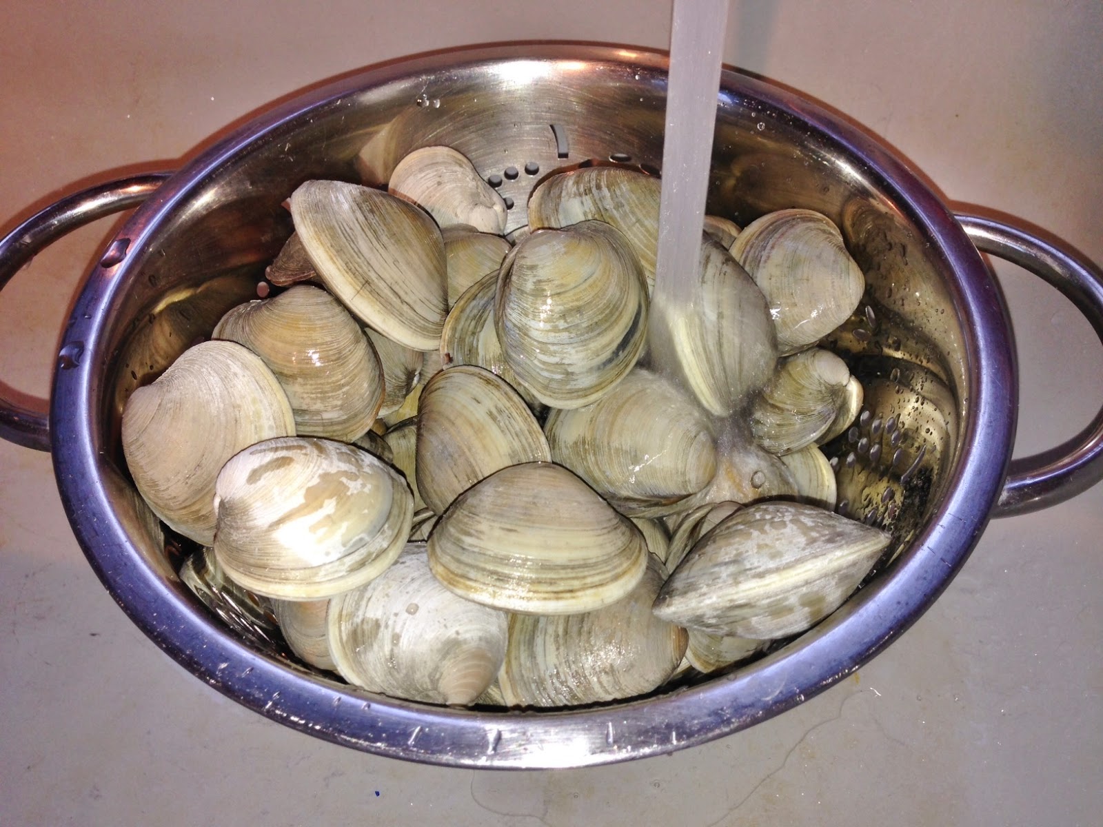 Live * Laugh * Eat Steamed Clams (Vongole)