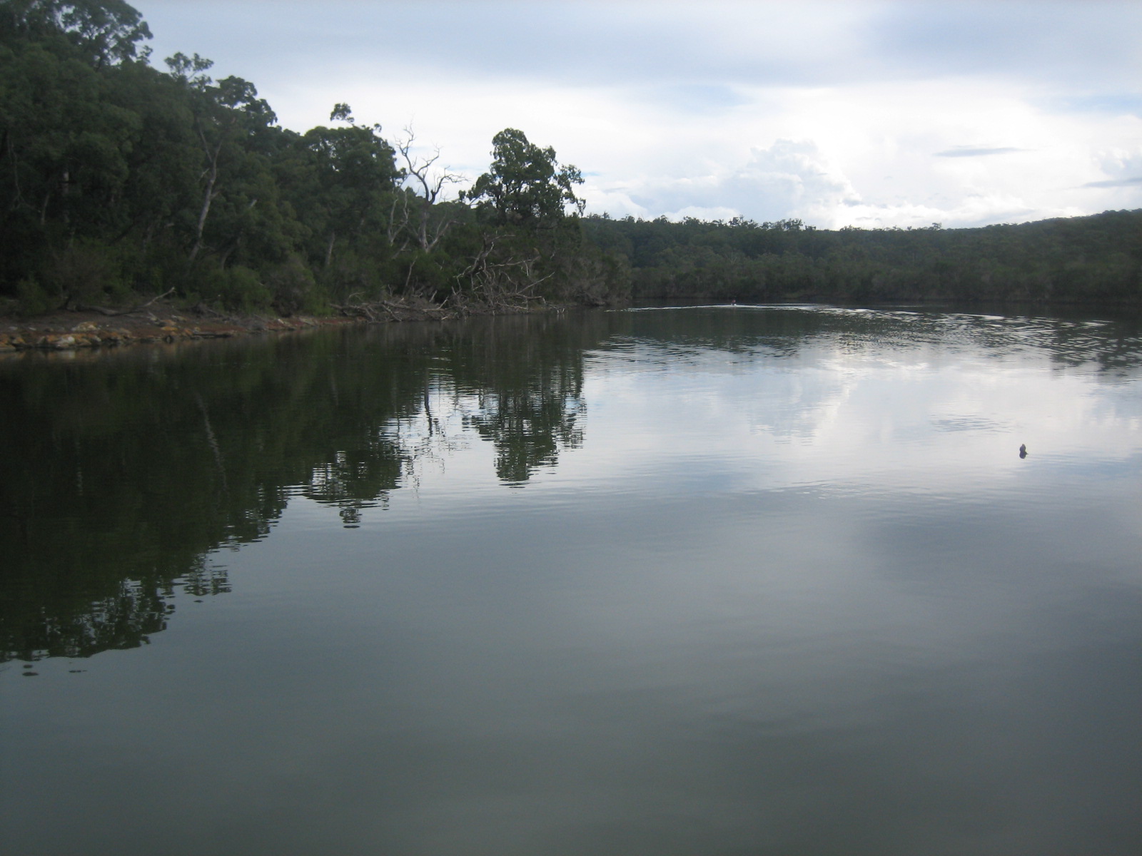 Lindsay's Lobes Lake Tyers
