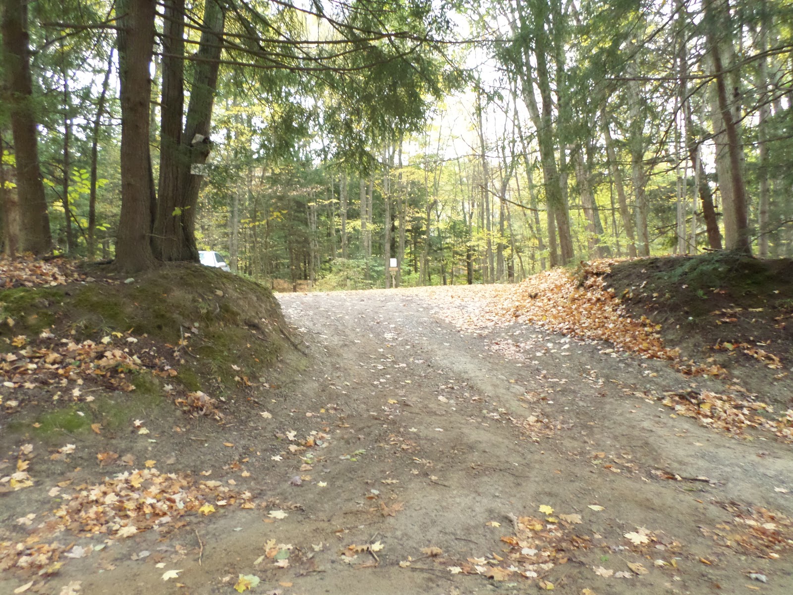 Mitten Tracks Murphy Lake State Game Area, part two Murphy Lake Rd