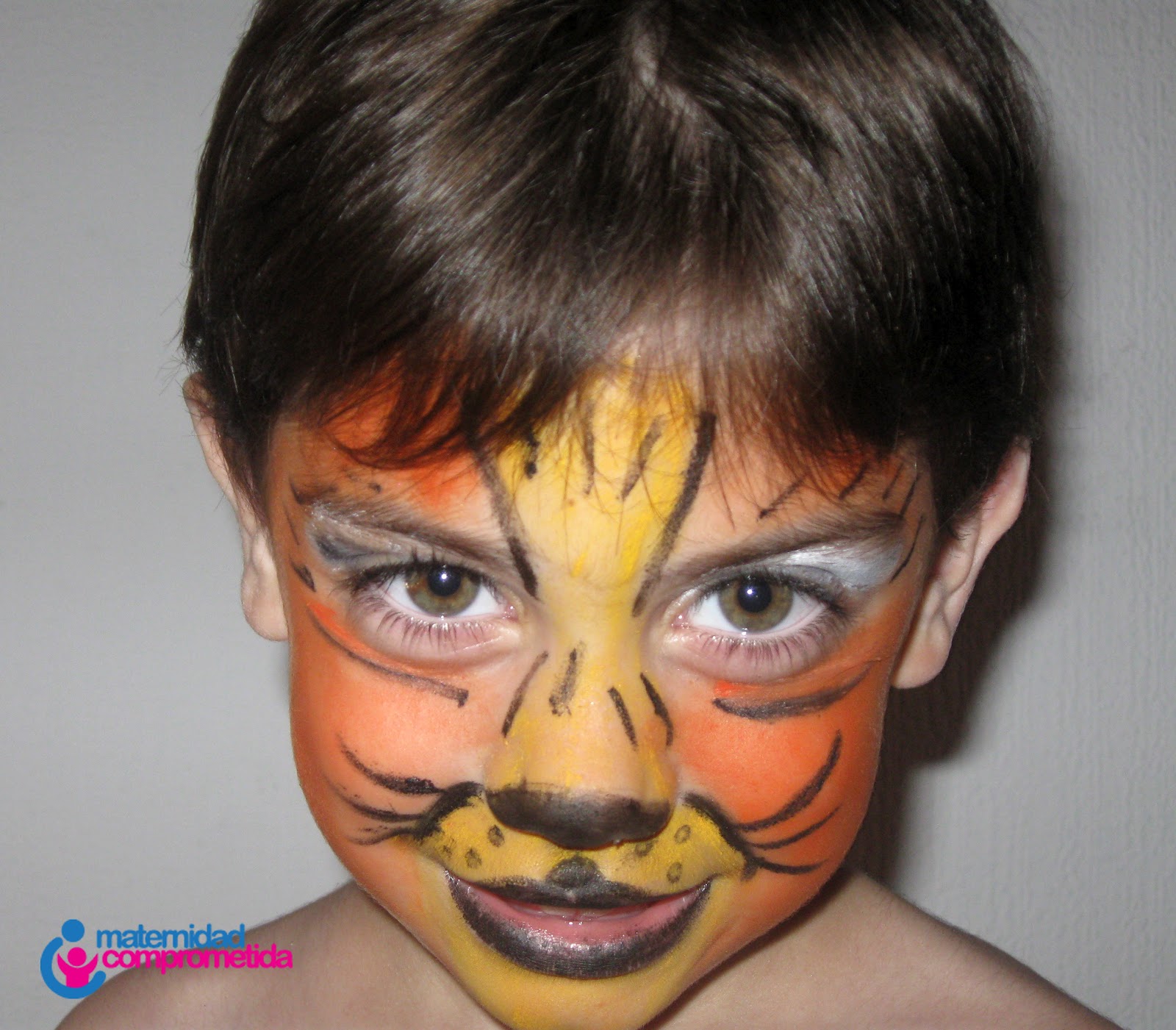 Cara pintada de gato Imagui Cara pintada de gato Imagui