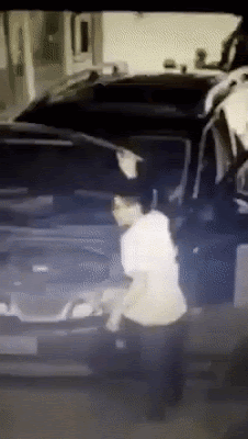 PrestigiousHideousAdamsstaghornedbeetle.