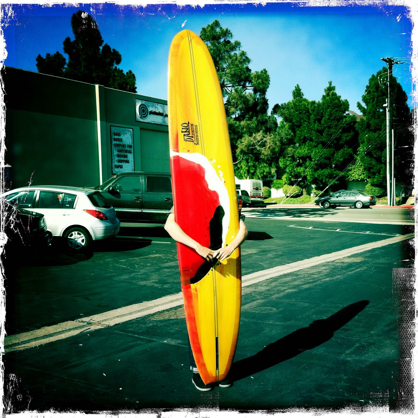 dano surfboards TROY'S 9'6"