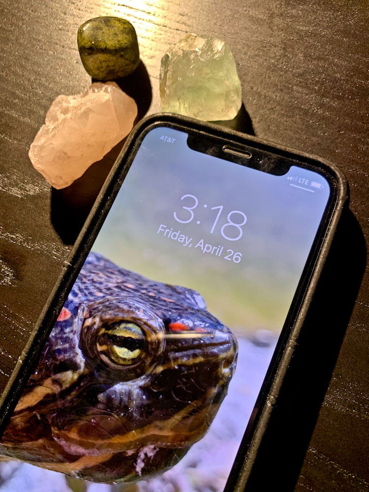 On Pace at 50 Getting a Pacemaker While Young(ish) Pacemaker Do's and