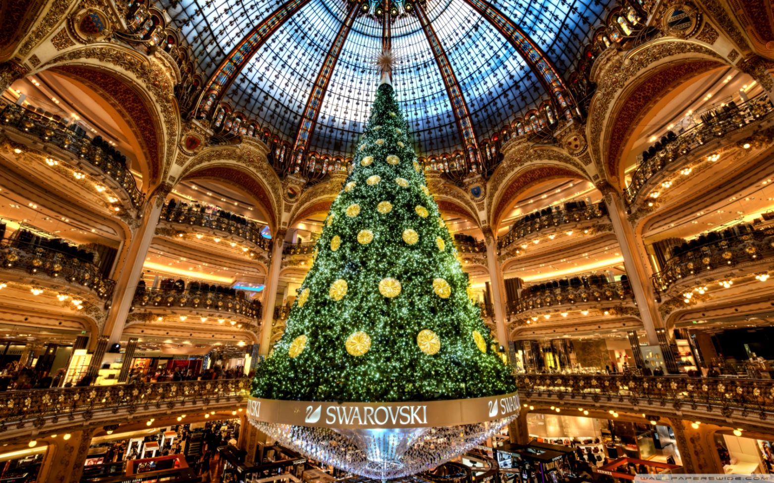 Christmas Tree In Paris