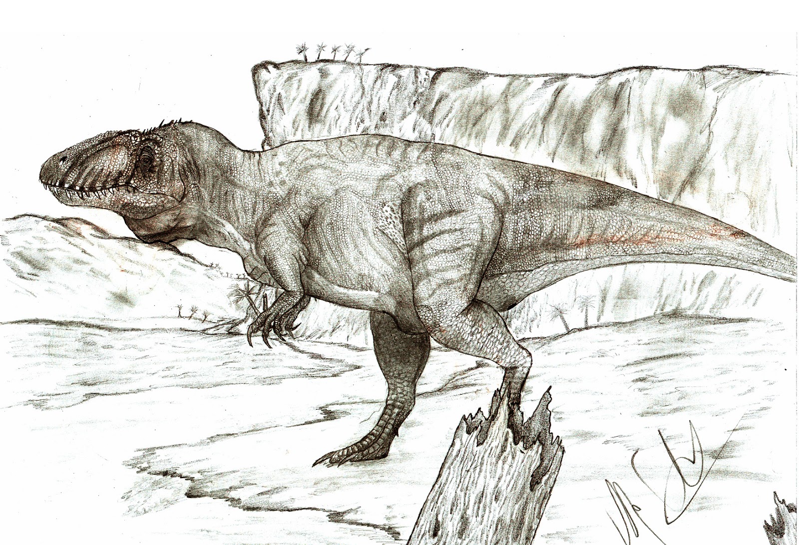 Ископаемый ящер. Sauroniops pachytholus. Саурониопс динозавр. Ископаемые ящеры. Зверозубый ящер.