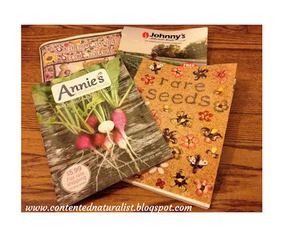 Photograph of seed catalogs from Annie's Heirloom Seeds, Johnny's Selected Seeds, Southern Exposure Seed Exchange, & Baker Creek Heirloom Seed Company
