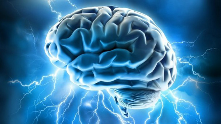These 7 Nootropics Are the Real Smart Drugs