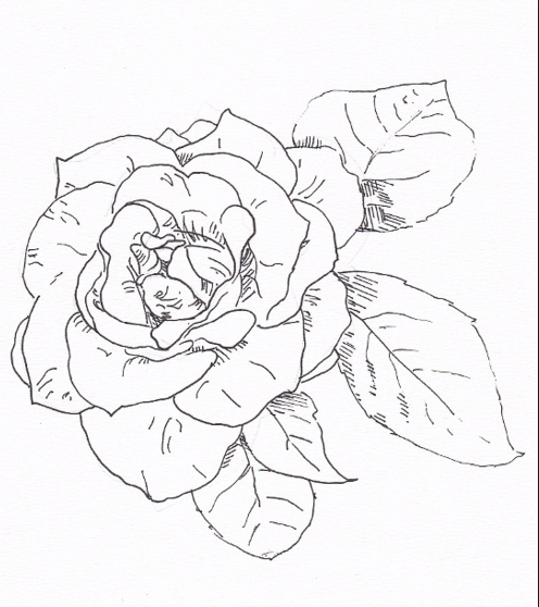 Gambar Bentuk Teknik Linear