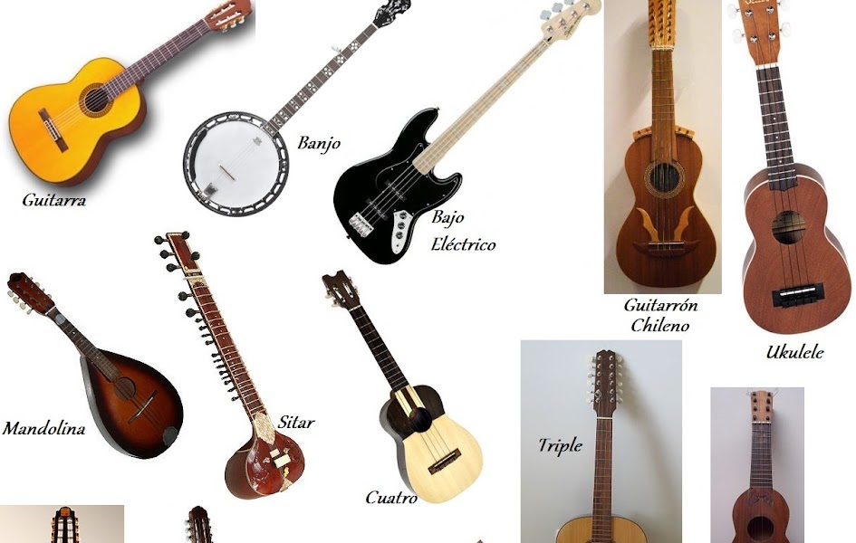 Instrumentos de cuerda raros