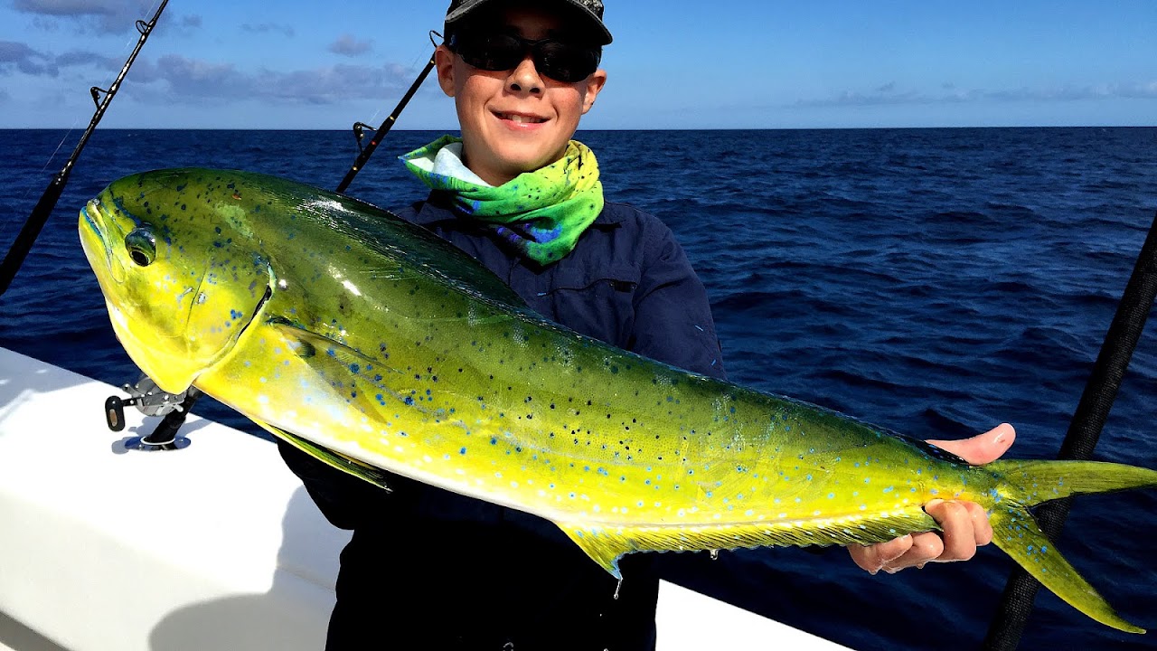 Nc Offshore Fishing Fish Choices