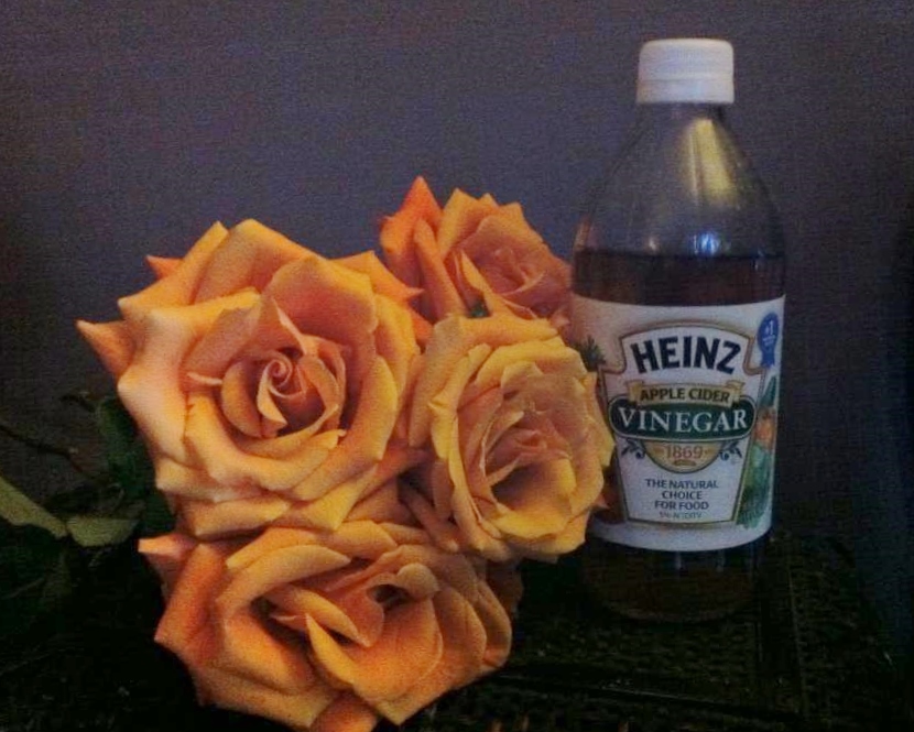 The Enchanted Petal Sugar