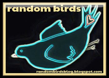 Random Birds
