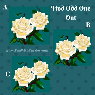 Odd One Out Picture Puzzle Rose