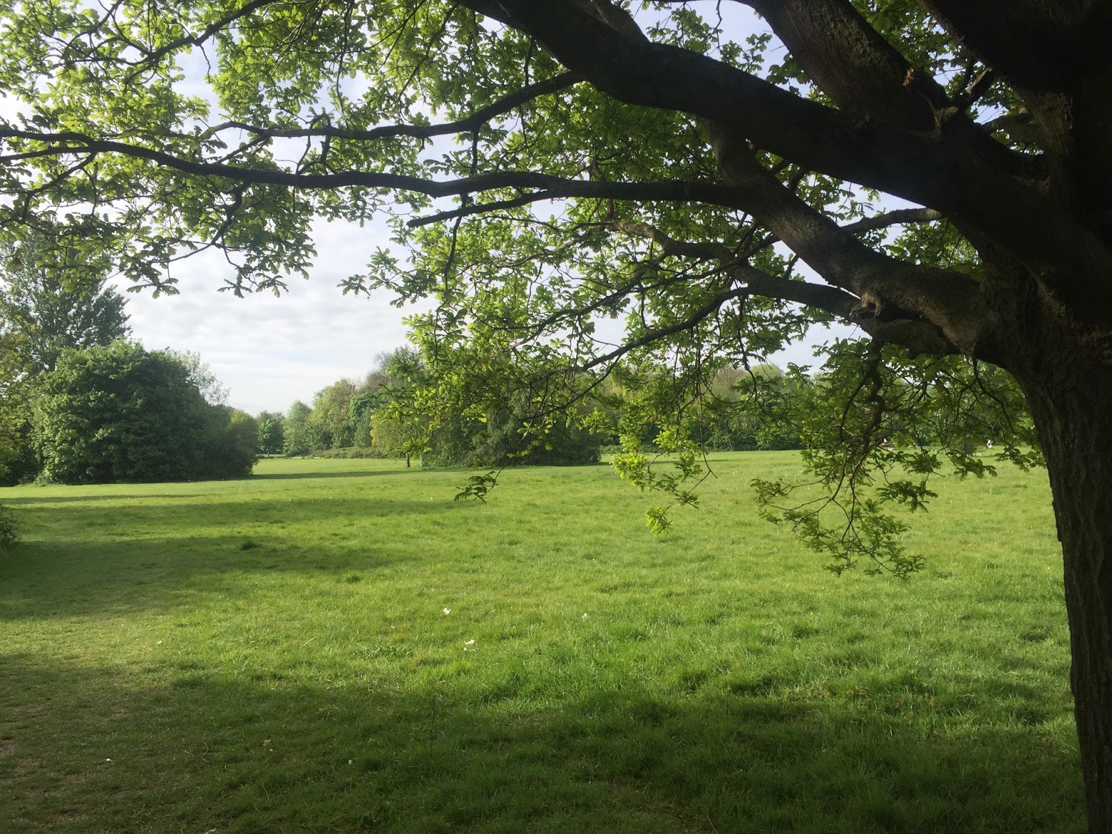 London Calling CANNON HILL HOUSE 1773 TO 1900?