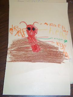 Mrs. Wood's Kindergarten Class: Insect Diagrams