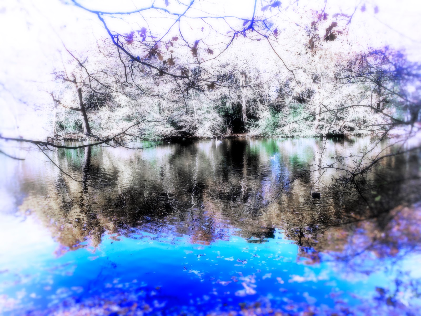 Alice in Wonderland EPPING ESSEX MAGIC WONDERS