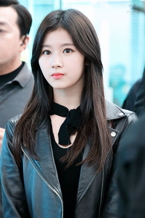 Twice Sana Profile Daily K Pop News