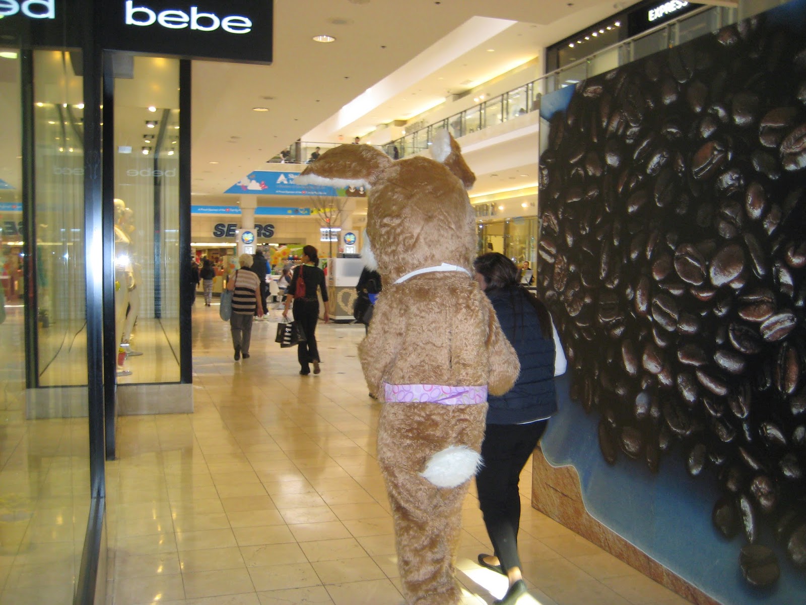 Robert Dyer Bethesda Row Easter Bunny arrives at Westfield