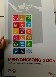apa itu SDG's, tentang SDG's, Poin SDG's