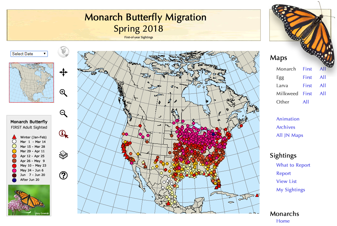 Monarch Butterfly Migration Map