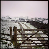 Snowy fields