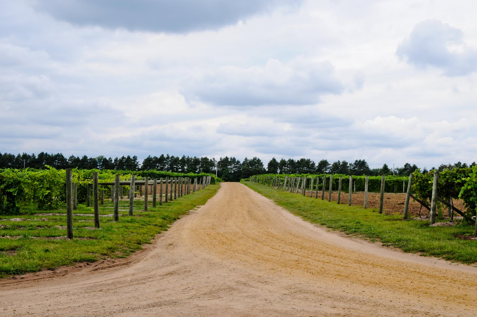 Experience Addict: Sideways: Minnesota Style