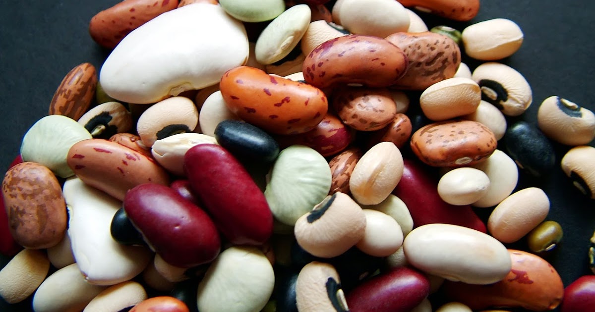 Telling Secrets Bean Counter Culture