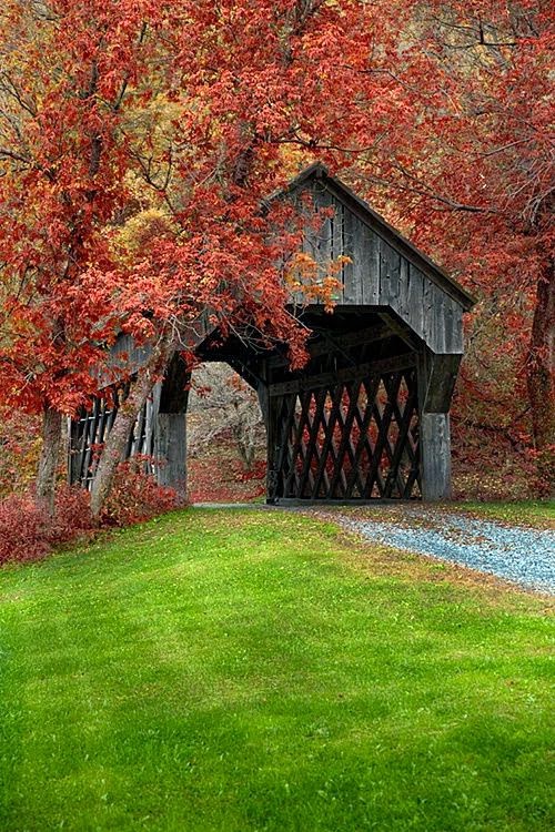 Covered Bridge Near Chelsea, Vermont - Favorite Photoz