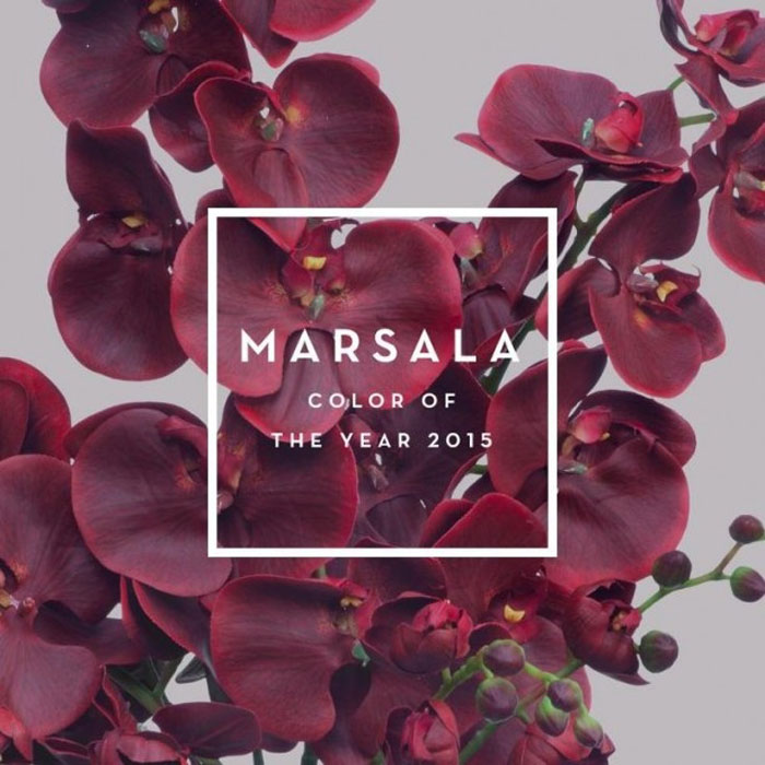 El color marsala es el color del año 2015 según Pantone. 