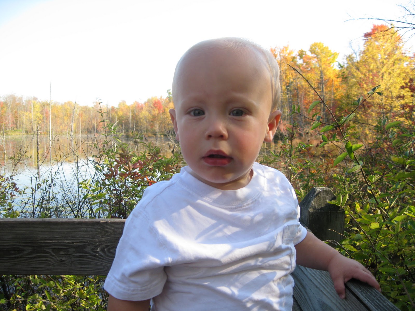 the-s-s-minnow-fall-break