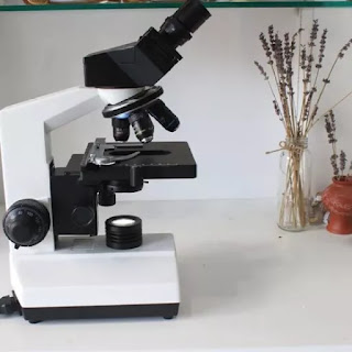 kính hiển vi soi vi khuẩn 2 mắt