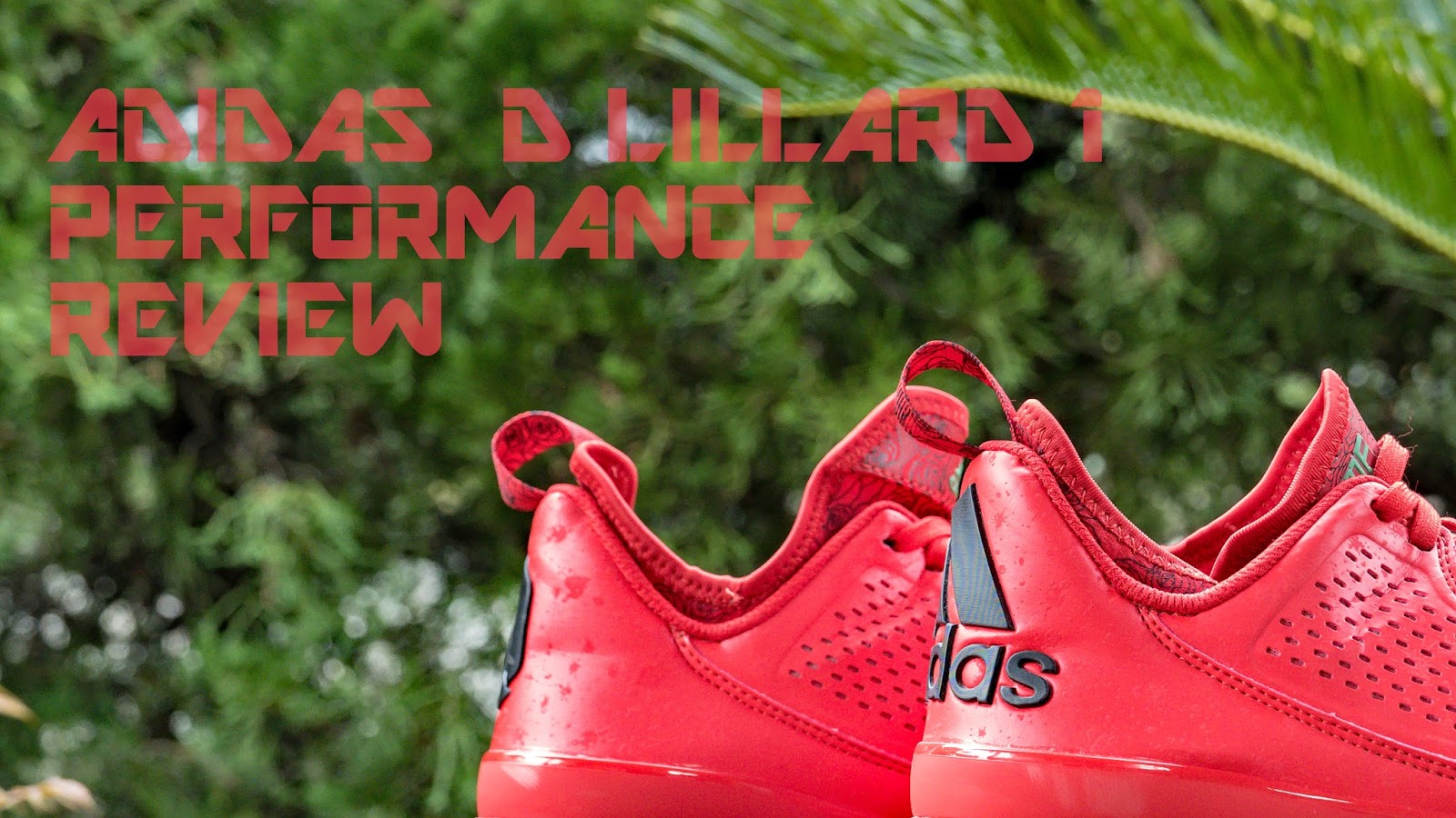 d lillard 3 review